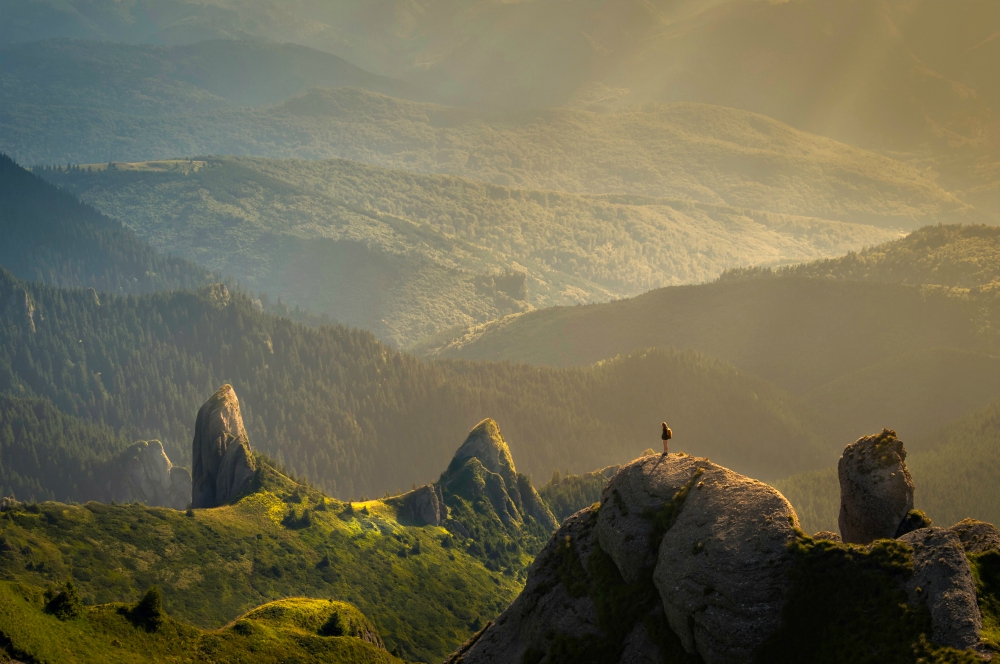 (Unsplash/David Marcu) (Unsplash/David Marcu)